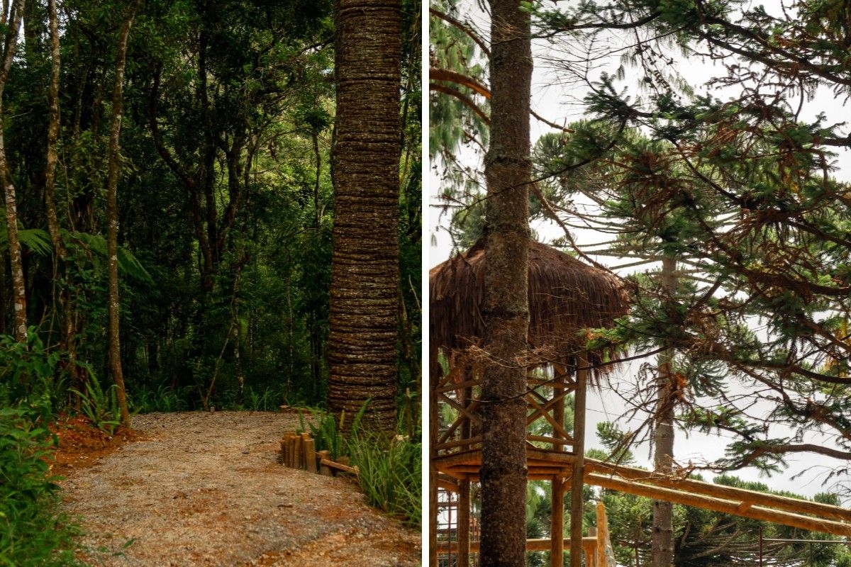 Parque de dinossauros em Campos do Jordão abre vagas de emprego