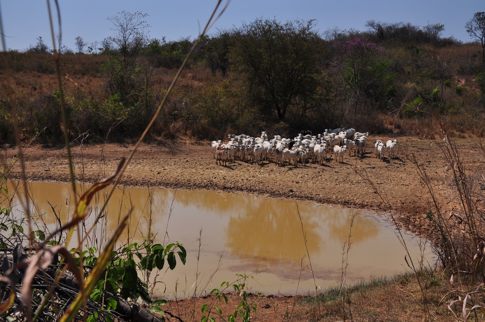 Montes Claros enfrenta emergência devido à seca severa