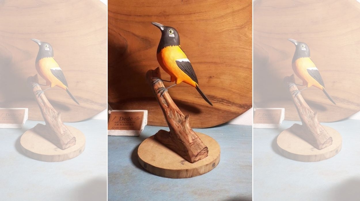 Artesão transforma madeira em esculturas de aves