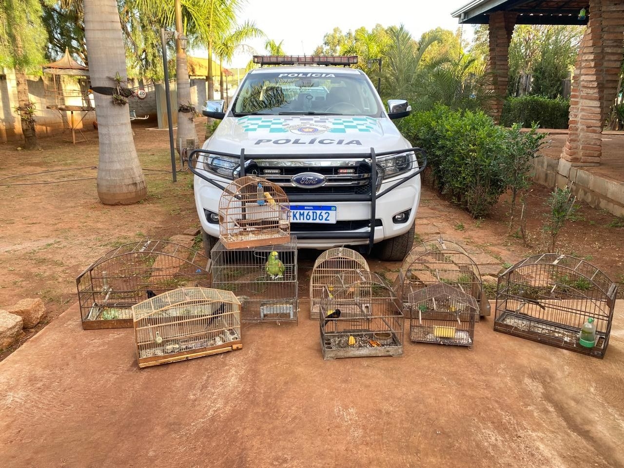 Polícia Ambiental apreende aves por maus-tratos em Hortolândia