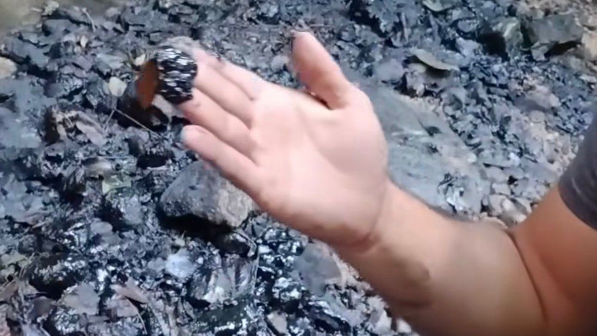 Goodyear deve remover resíduos de córrego até maio