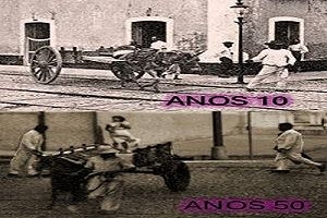 A Carroça, o Burro e o Carroceiro. Por Moacir Andrade