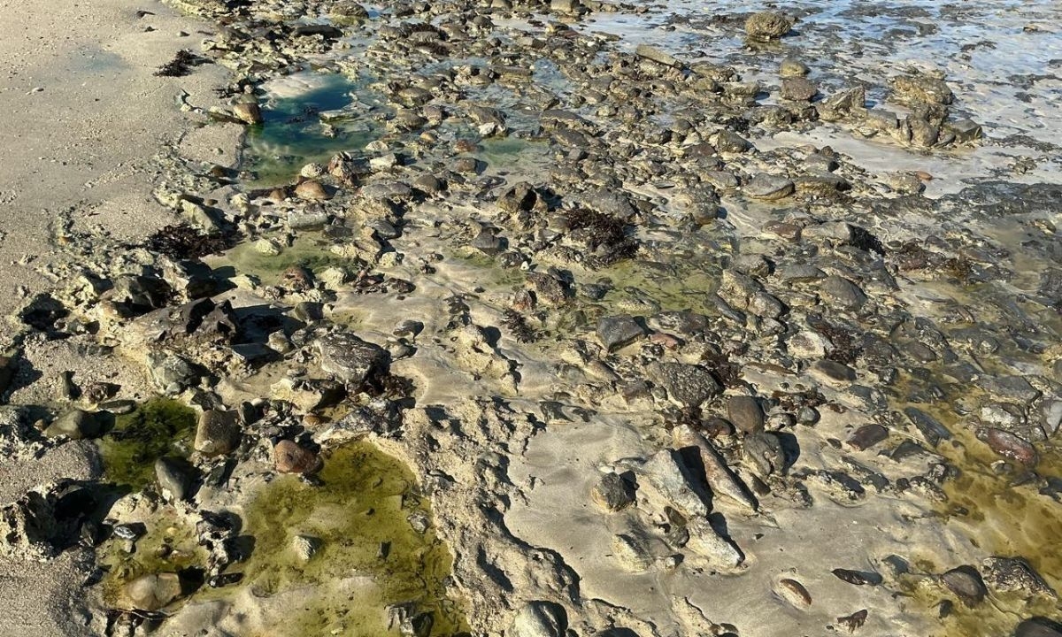 Pescadores pedem ações do governo após contaminação em Salvador
