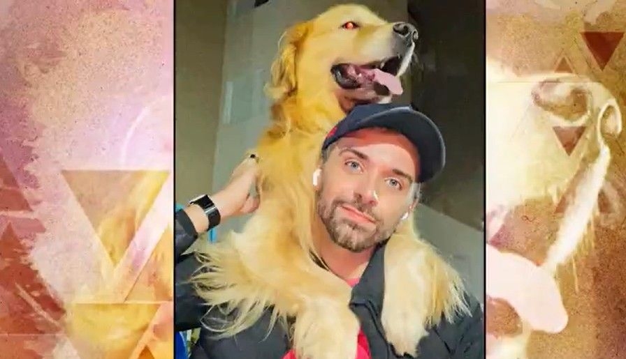 Justiça mantém ação sobre morte do cão Joca em MT