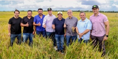 Prefeitura de Penedo apoia rizicultores e gera emprego e renda