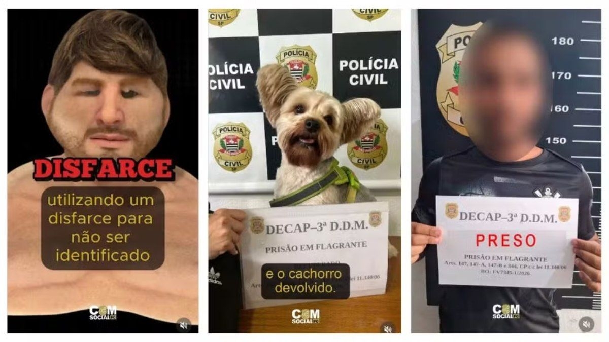 Suspeito usa disfarce para roubar cachorro em SP