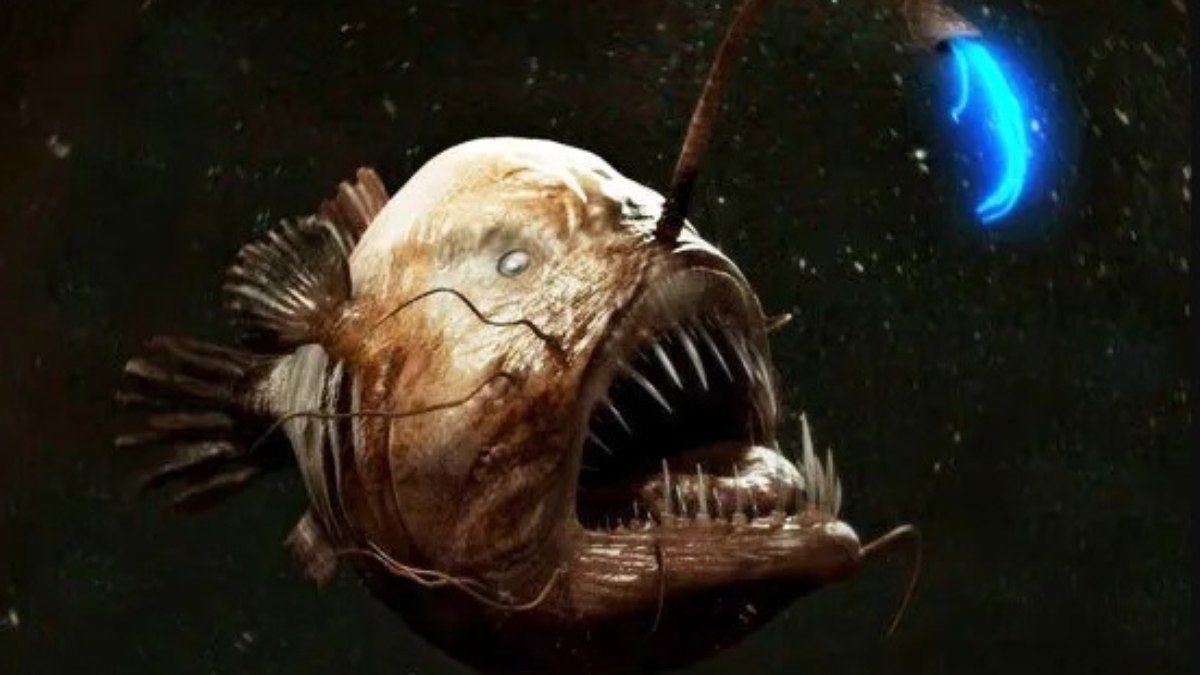 Mistérios do Oceano: Criaturas da Midnight Zone