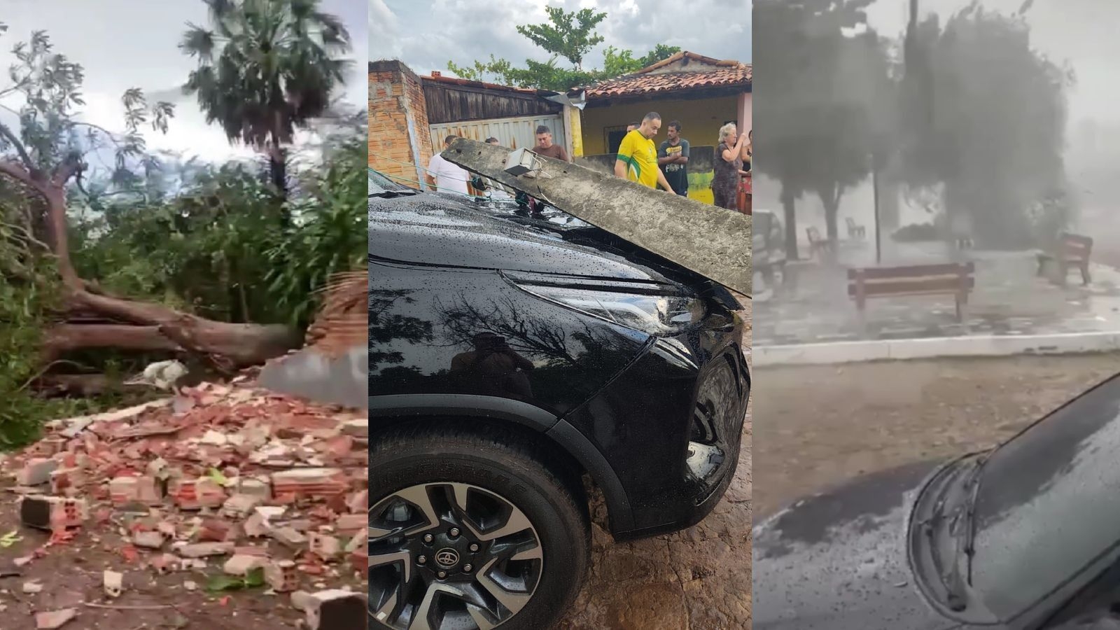 Microexplosão derruba árvores e causa prejuízos no PI